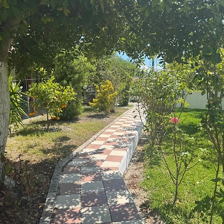Koala Place 瓦西利基 外观 照片