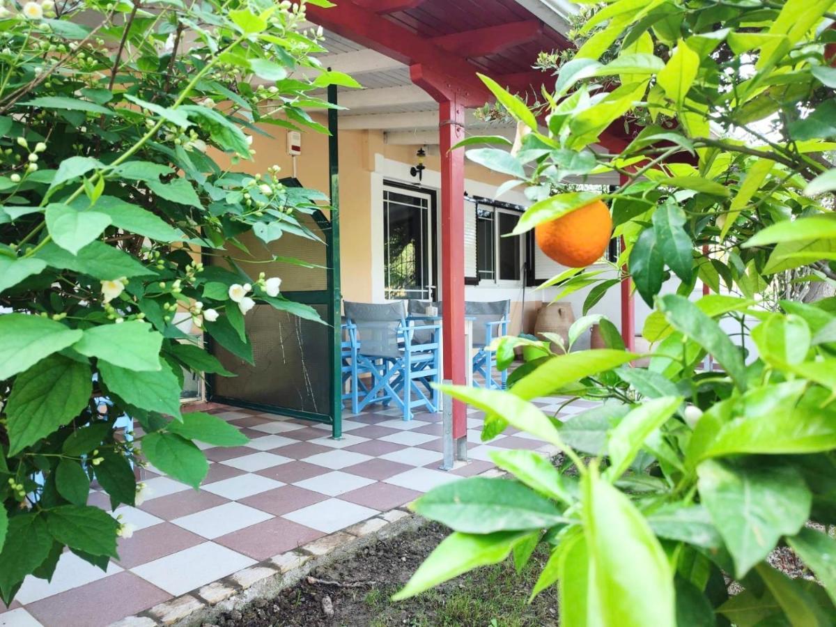 Koala Place 瓦西利基 外观 照片