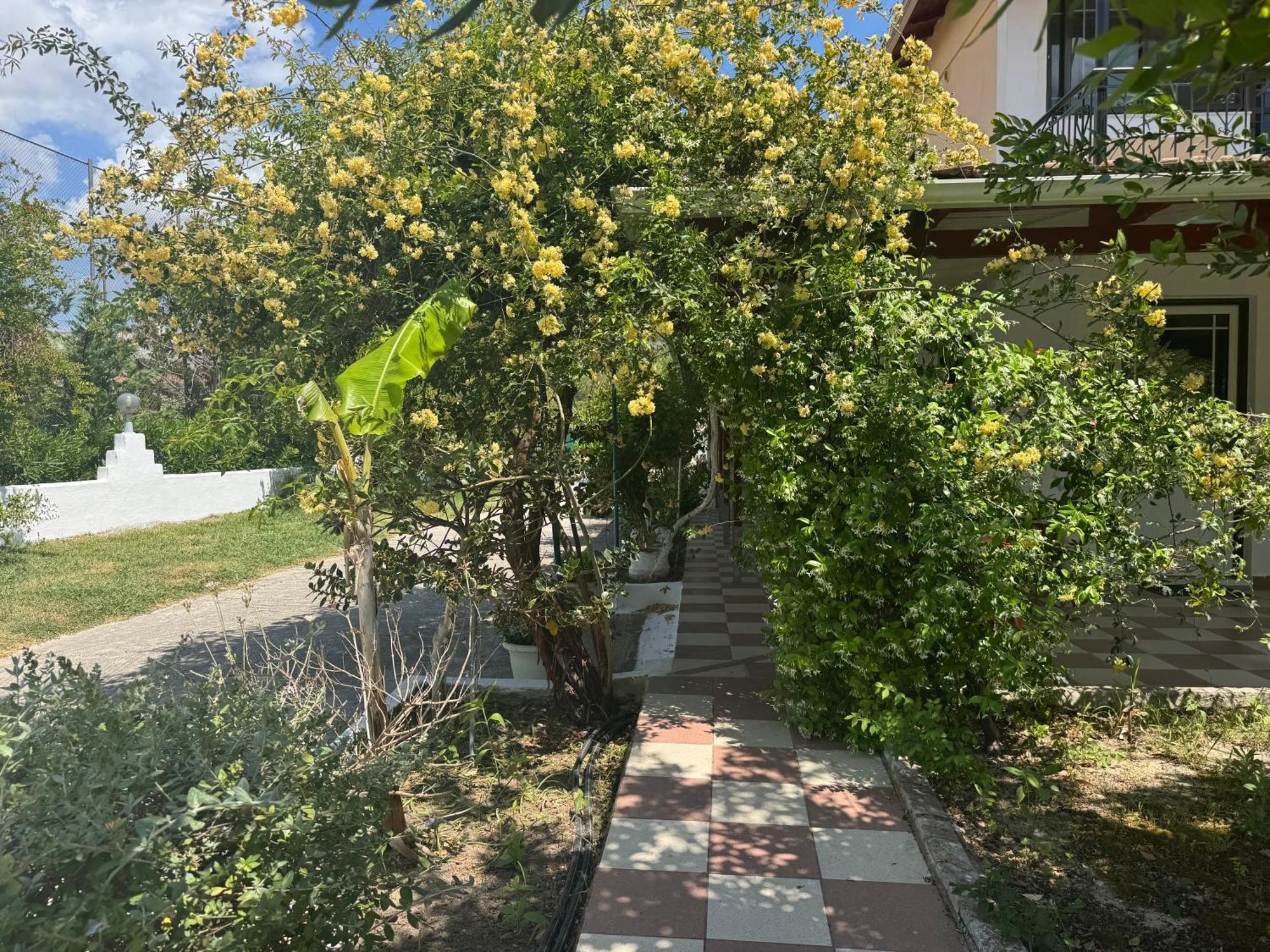 Koala Place 瓦西利基 外观 照片